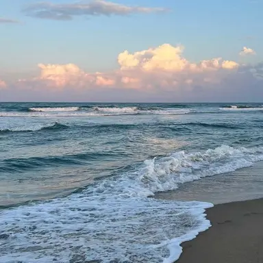 Profile image of 멜로우