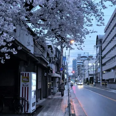Profile image of 밥풀