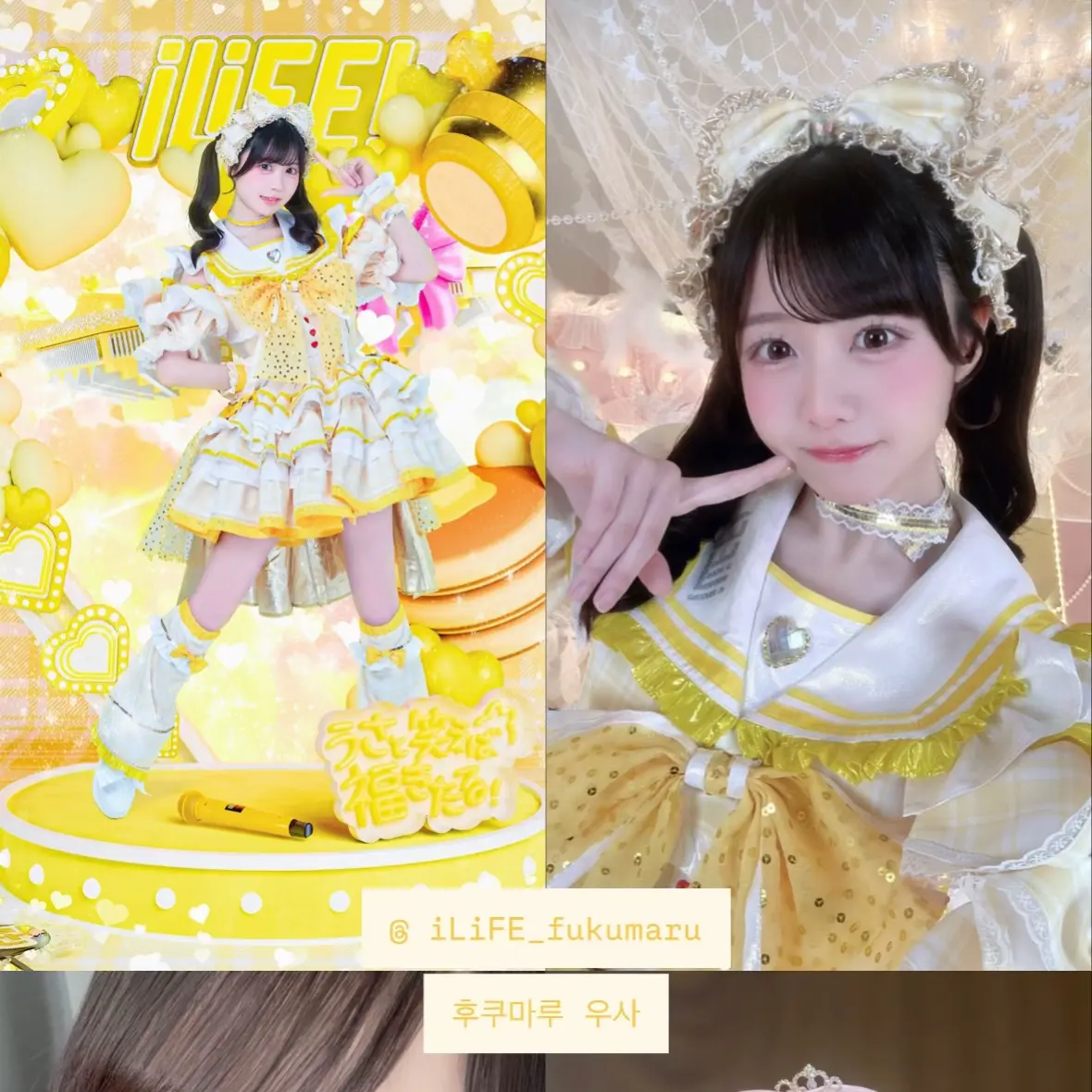 SnowyHarp9246의 우사