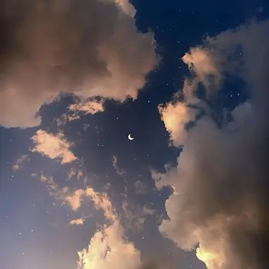 Profile image of 박시온