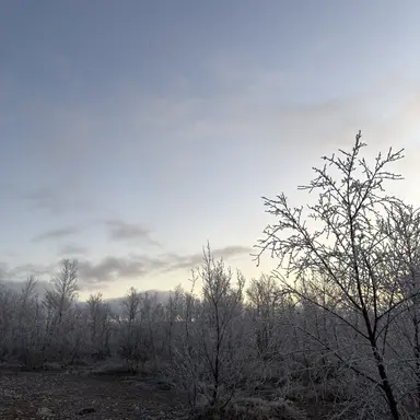 Profile image of クルスヴェト