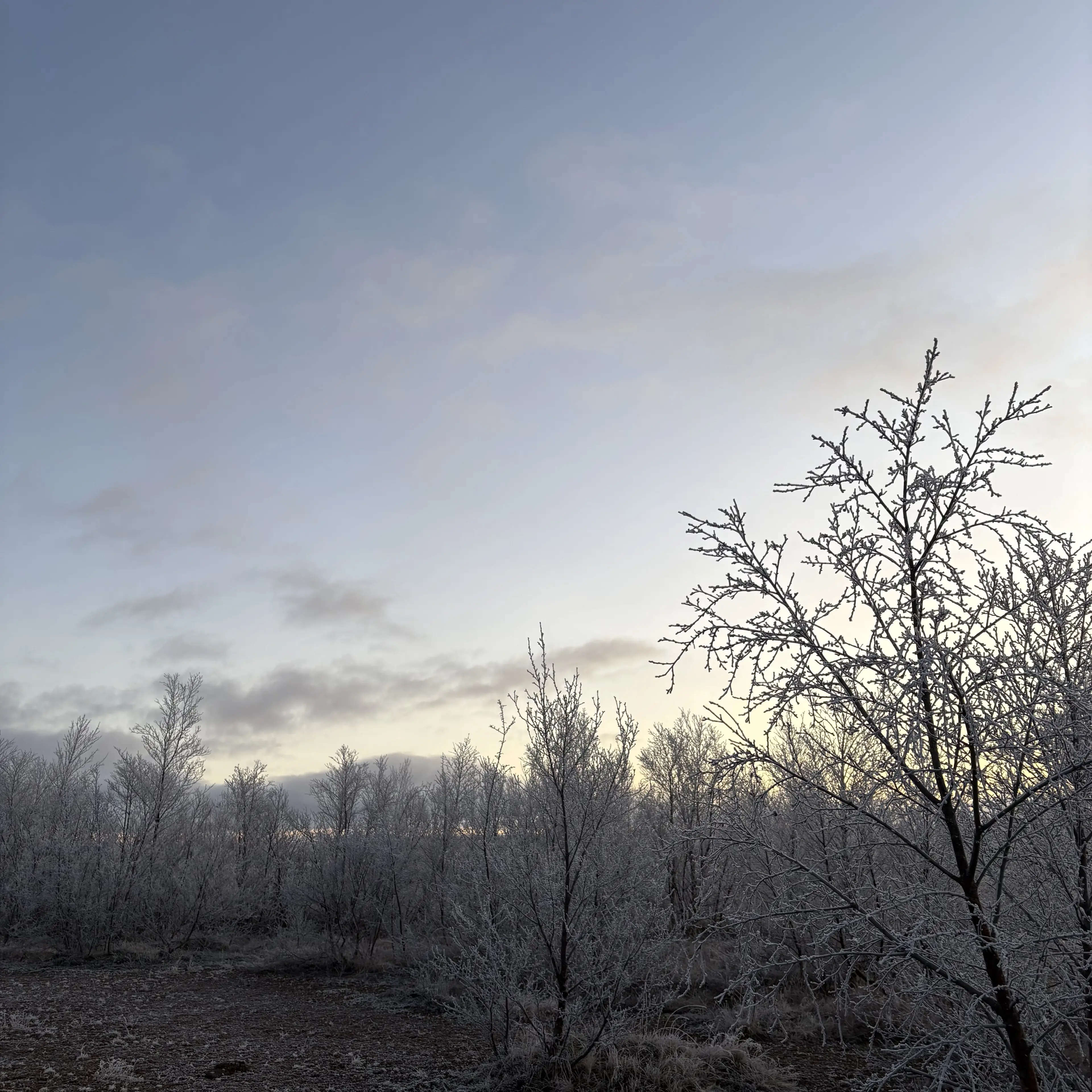 AgileChalk3522의 くるすちゃ えふえぬえふ