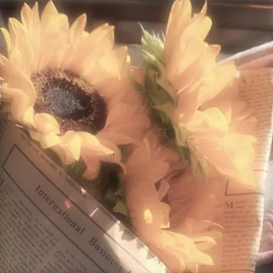 Profile image of 꽥