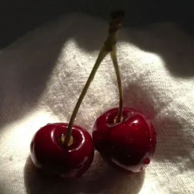 Profile image of 은비