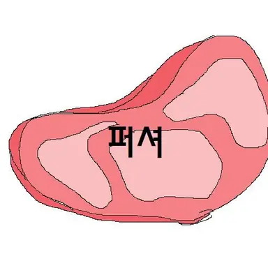 Profile image of 퍼셔
