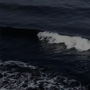 Profile image of 해솔