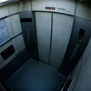 Profile image of 助けはこないよ