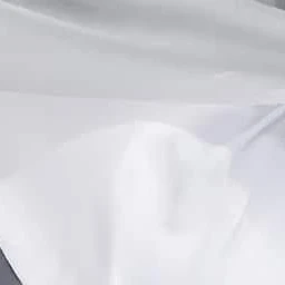 대표