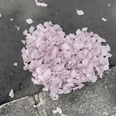 Profile image of リオ