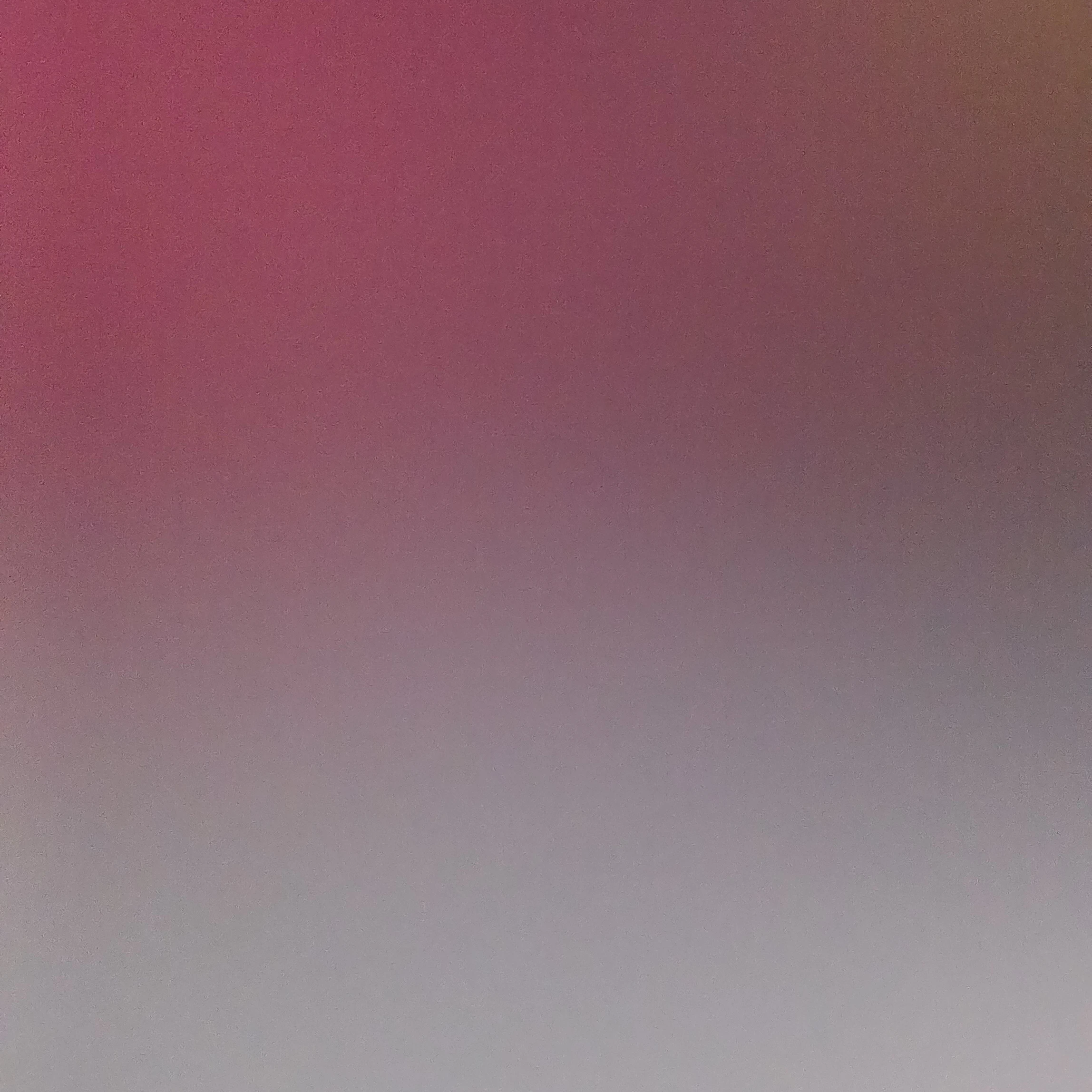 꽥꽥탐험대