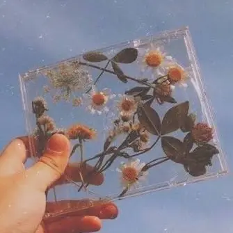 Profile image of 여우