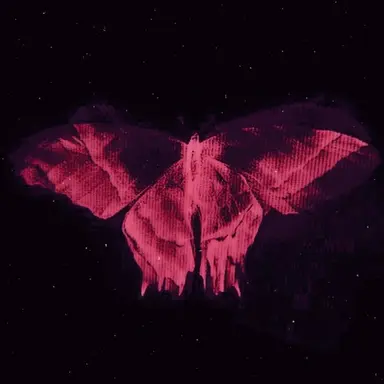 Profile image of 제인 도