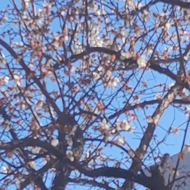 Profile image of 공룡