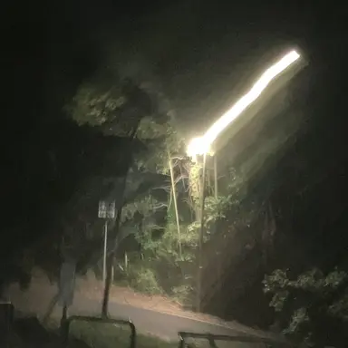 Profile image of ショウ