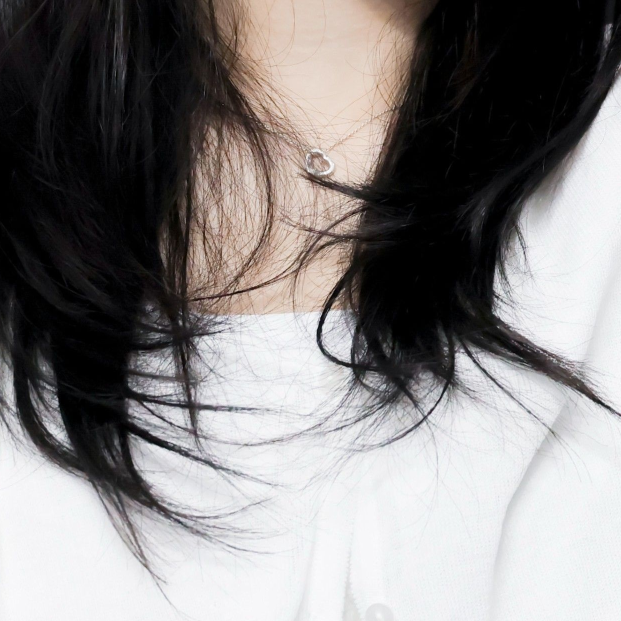 백지헌 대표 이미지