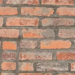 Profile image of 이채영