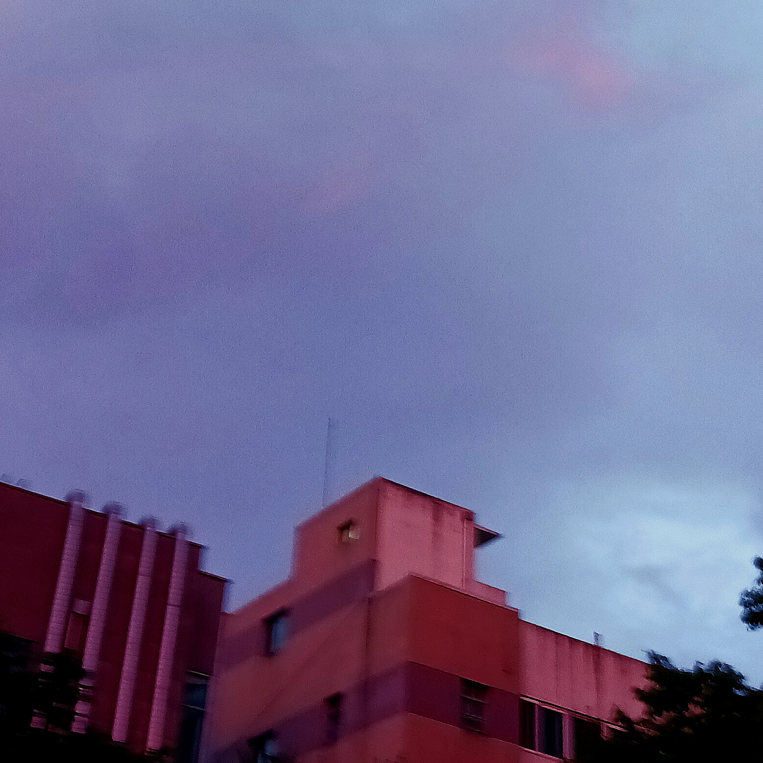 호성
