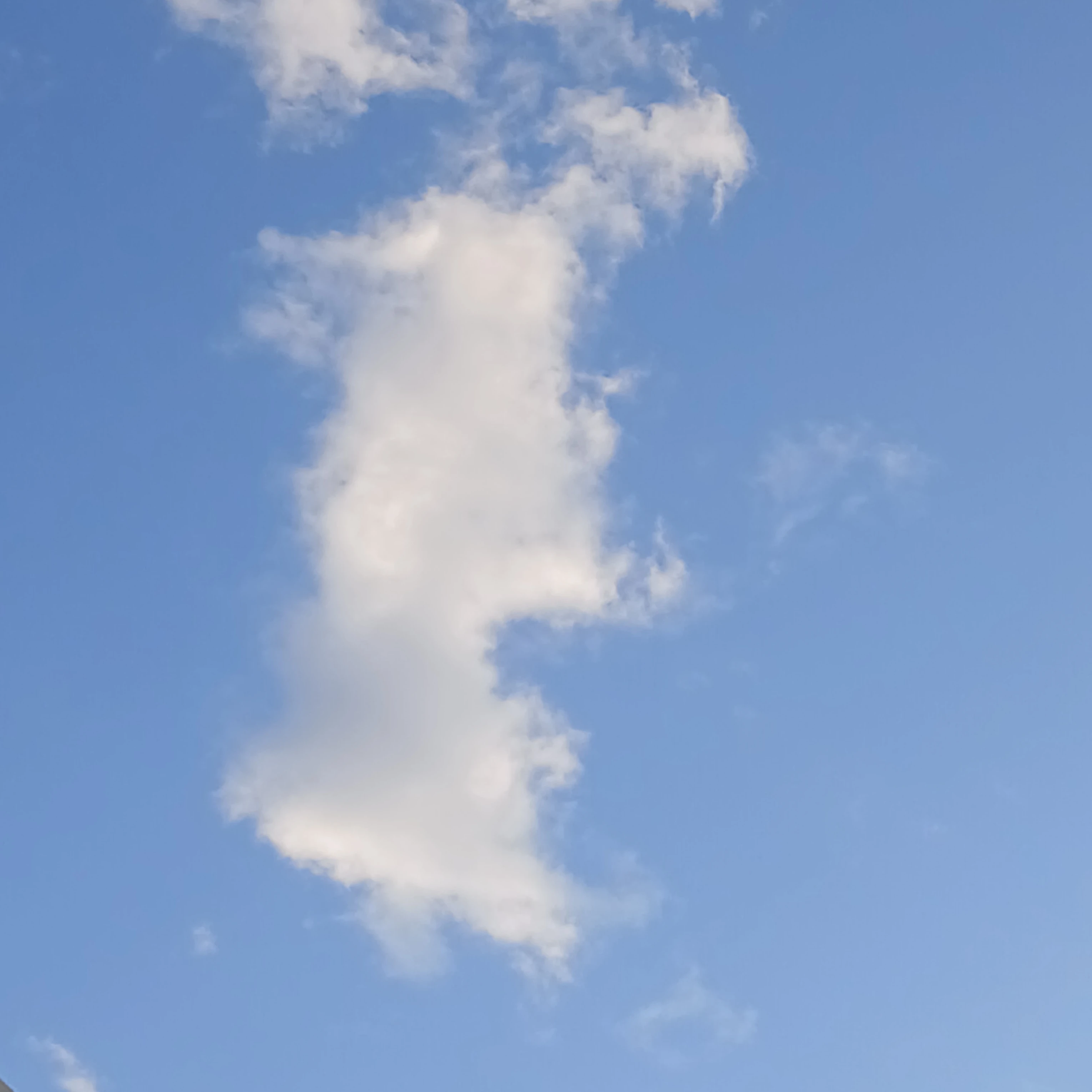 싸이클