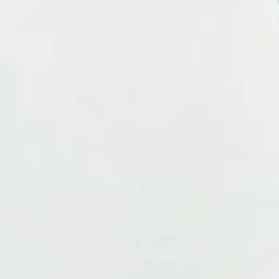 ✿ ̣。