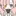 카에데.