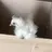 일진1