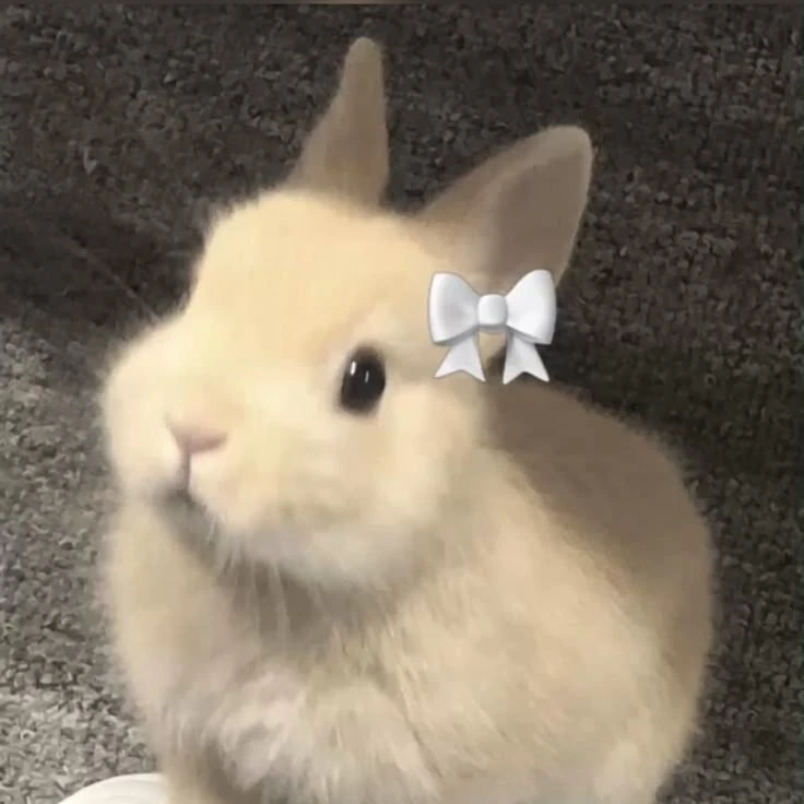 최슨철