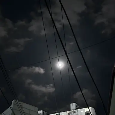 Profile image of 황현진