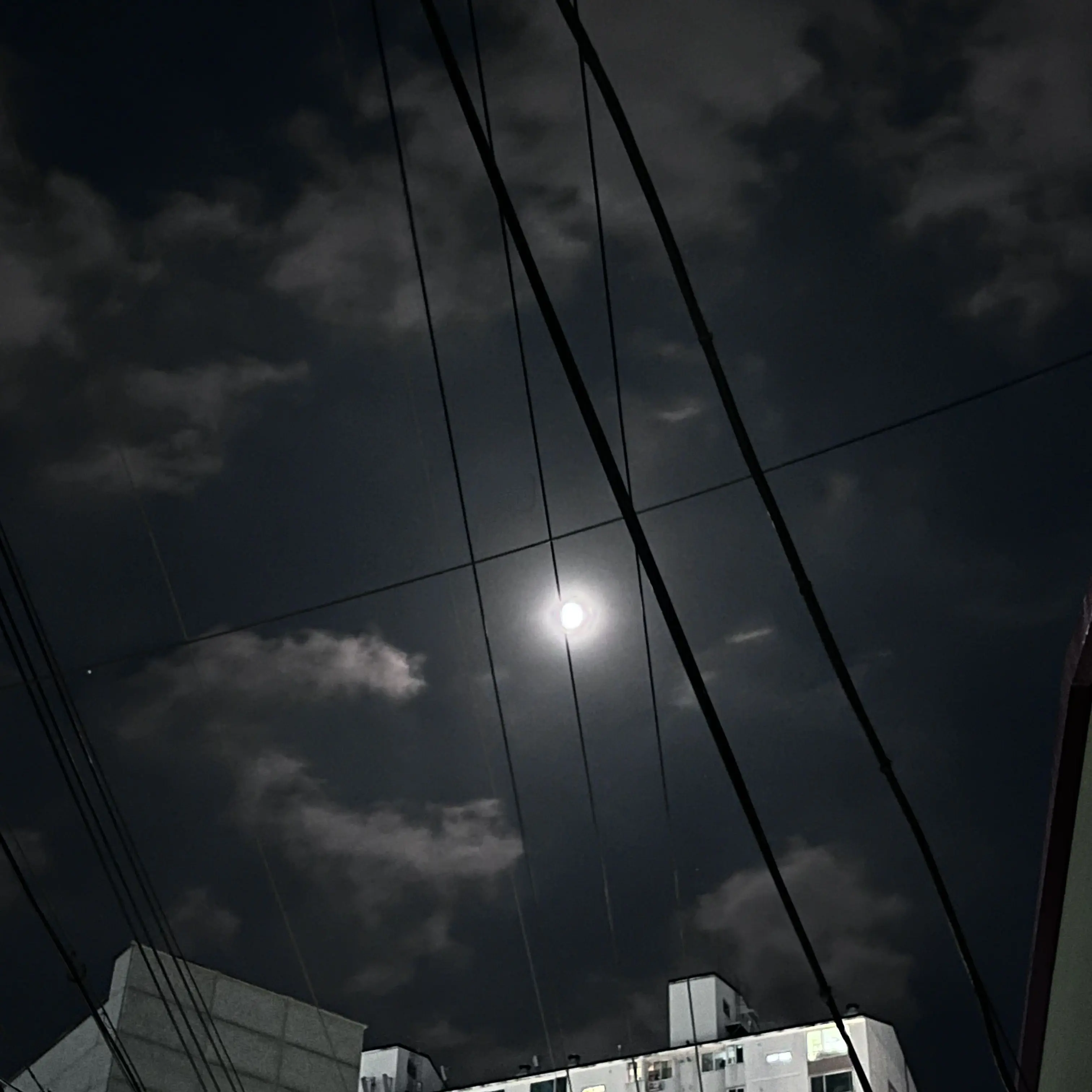 AfraidMedal6405의 황현진