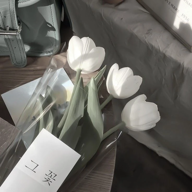 호시나 소우시로