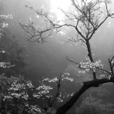 Profile image of 노산군