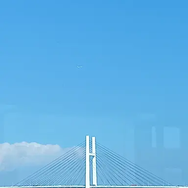 Profile image of い