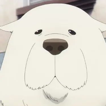 Profile image of 본드