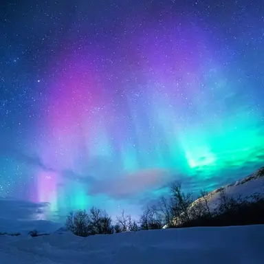 Profile image of 고고프렌즈 수인학교