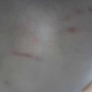 Profile image of 김동현