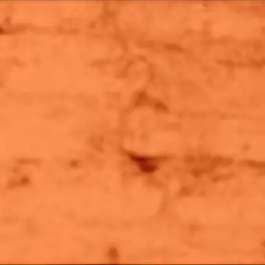 Profile image of 이시온