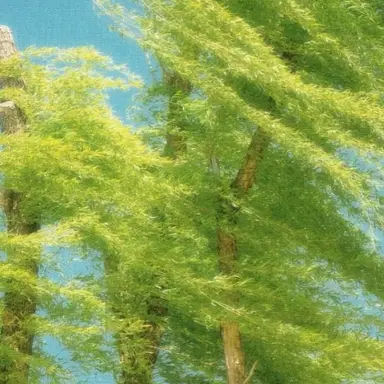 Profile image of 藤宮 しおん