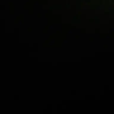 Profile image of 박경림