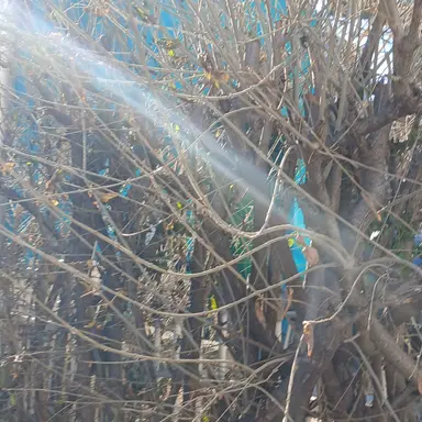 Profile image of 남자 버튜버들