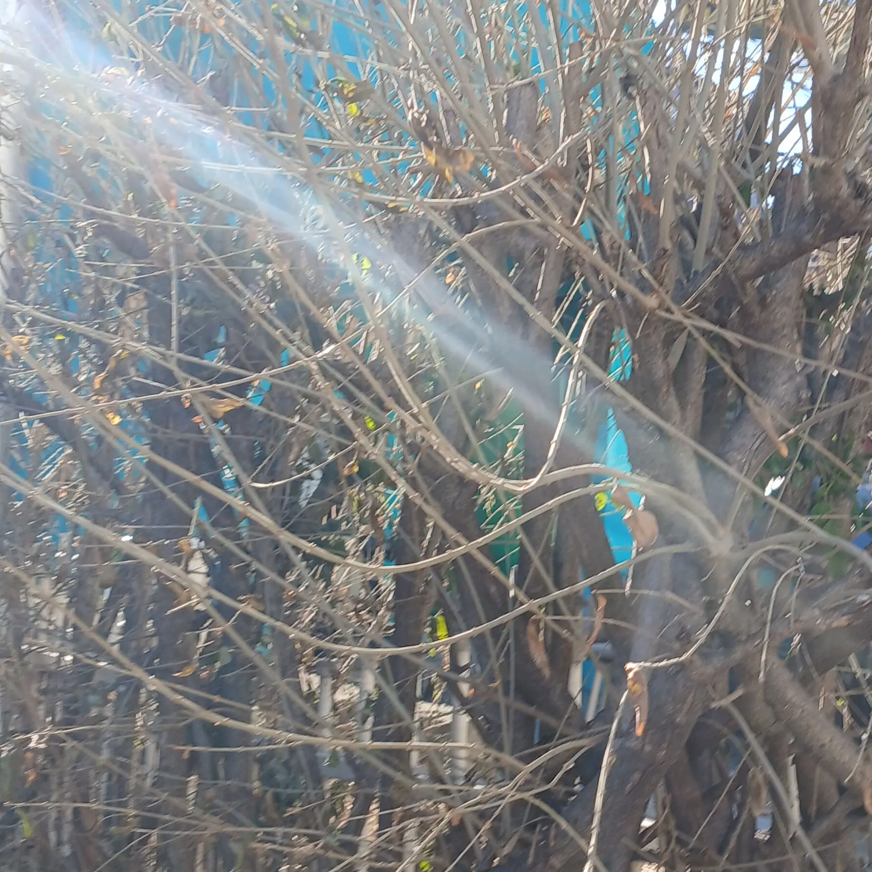 K1015의 남자 버튜버들4