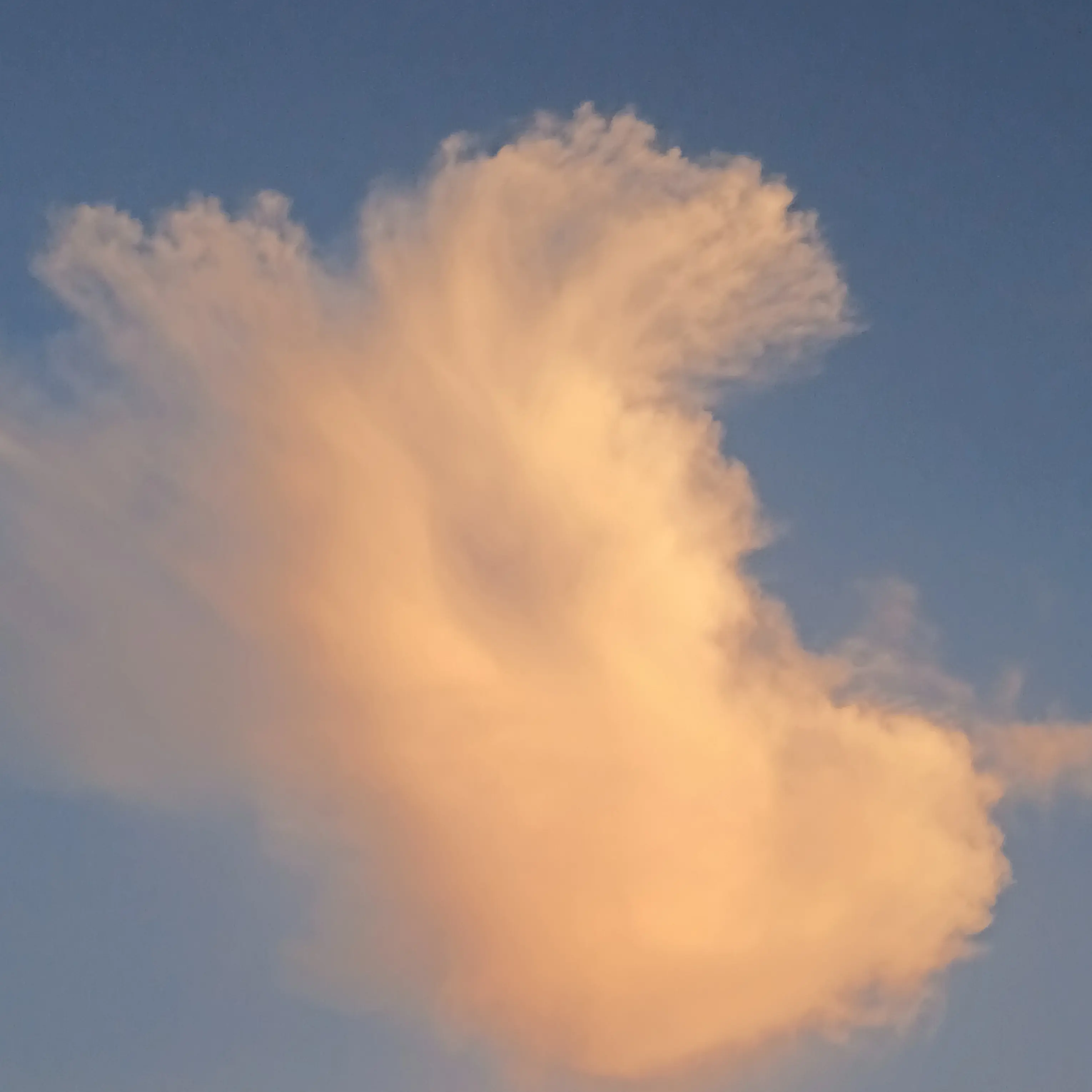 RearPlush1346의 차에 탔다가 ㅈ된 리온