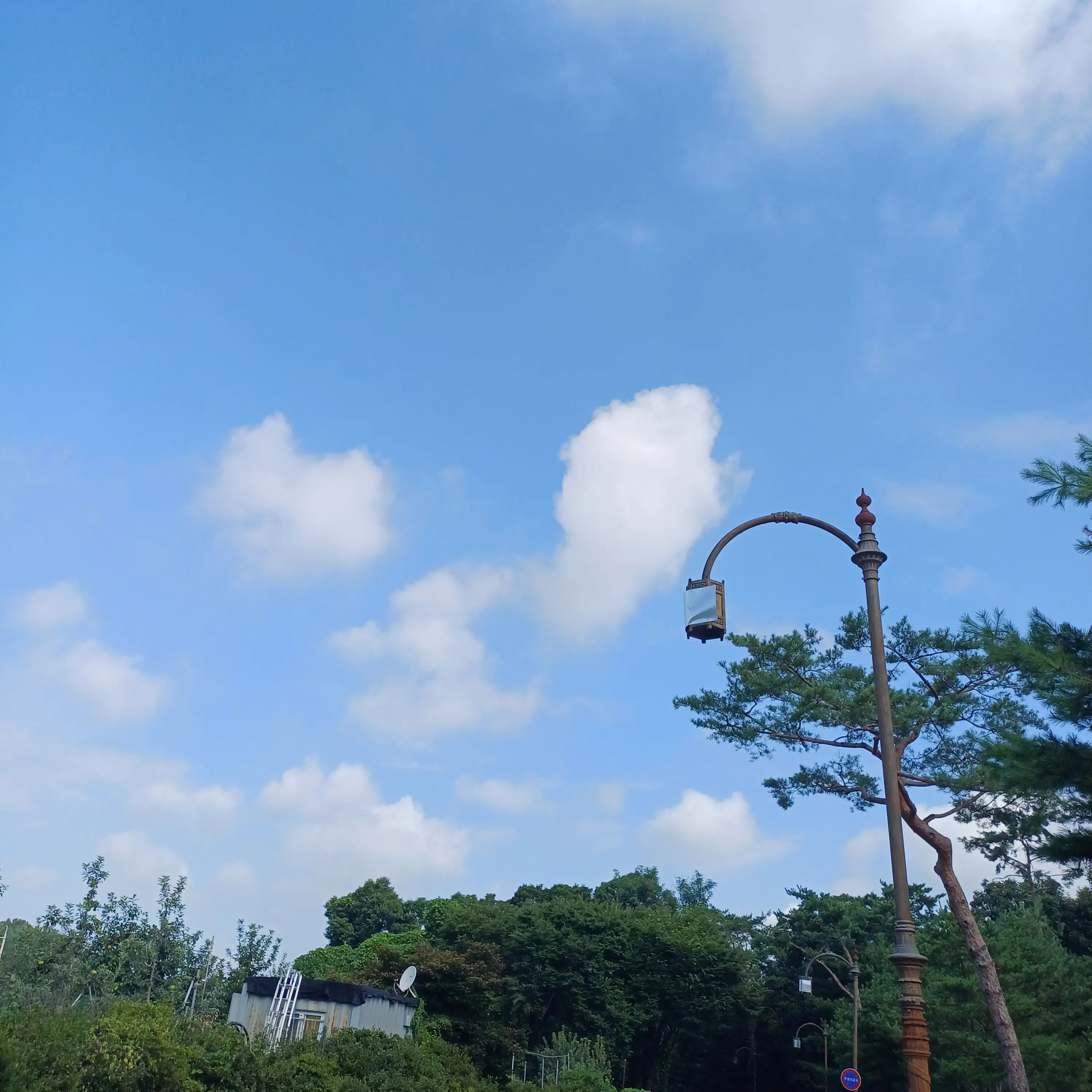 LoudQuote6657의 스낵타운 일처다부제