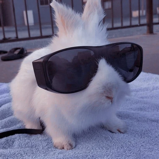 이민호