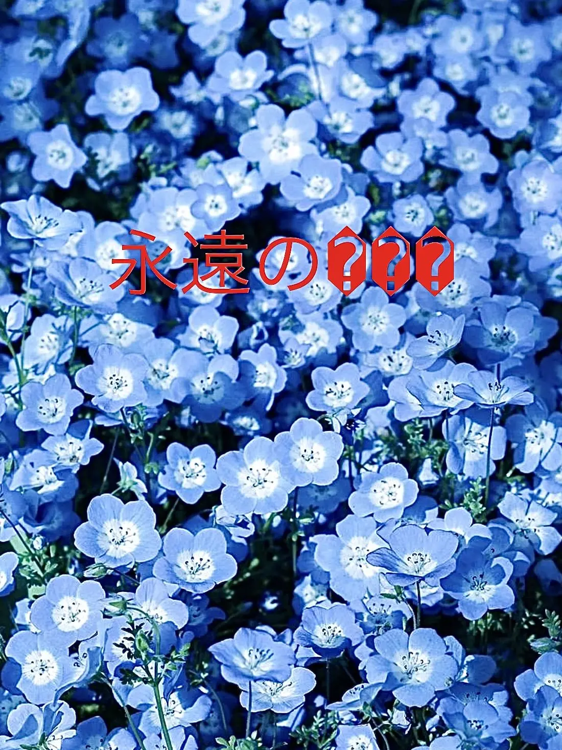 OUNYAOUNYA의 永遠の���