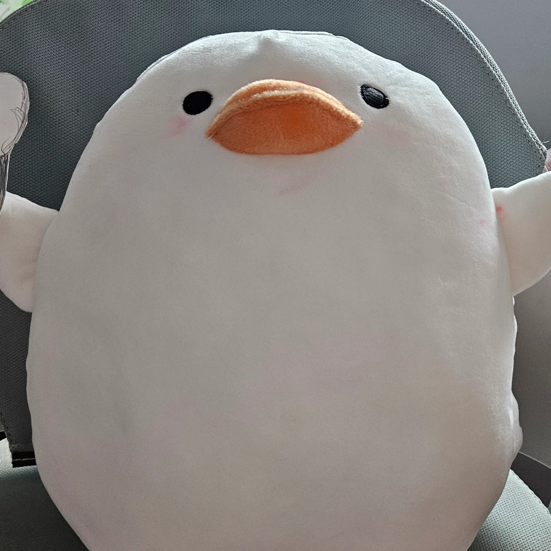 강아지저택