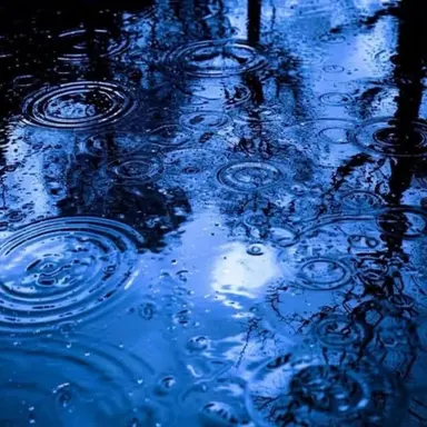 Profile image of 삐리뽀