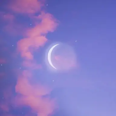 Profile image of 엘라나