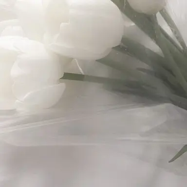 Profile image of 예나