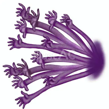 Profile image of 手