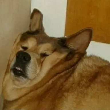 Profile image of 용사