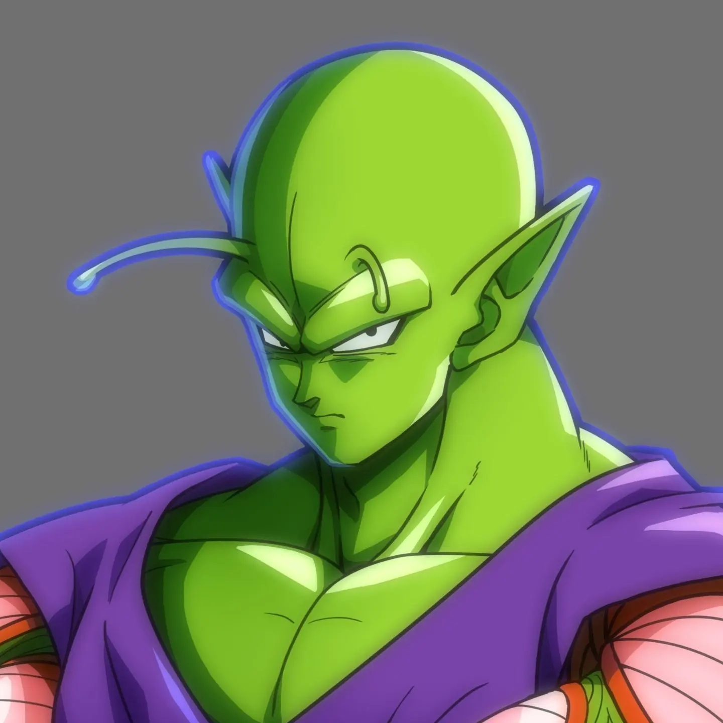 TenderElk6756의 ピッコロ